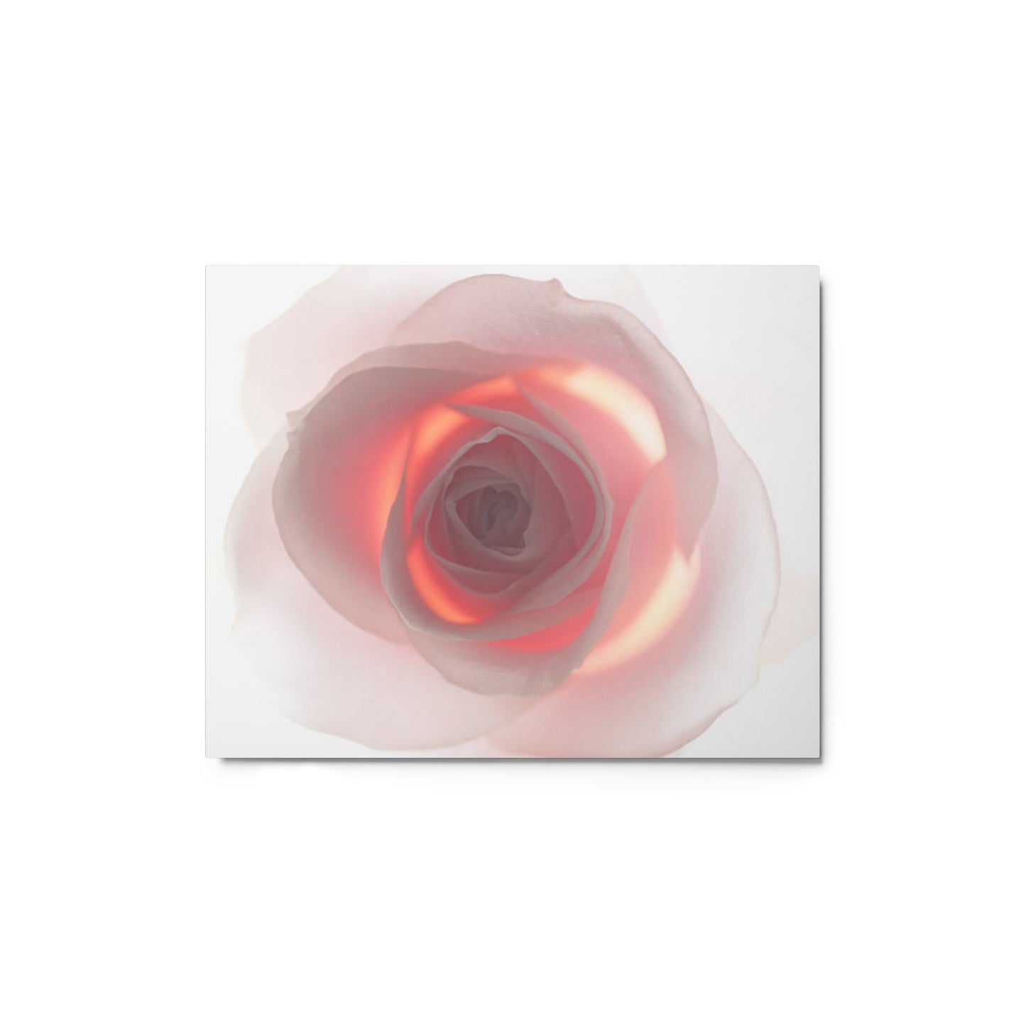 Metal prints