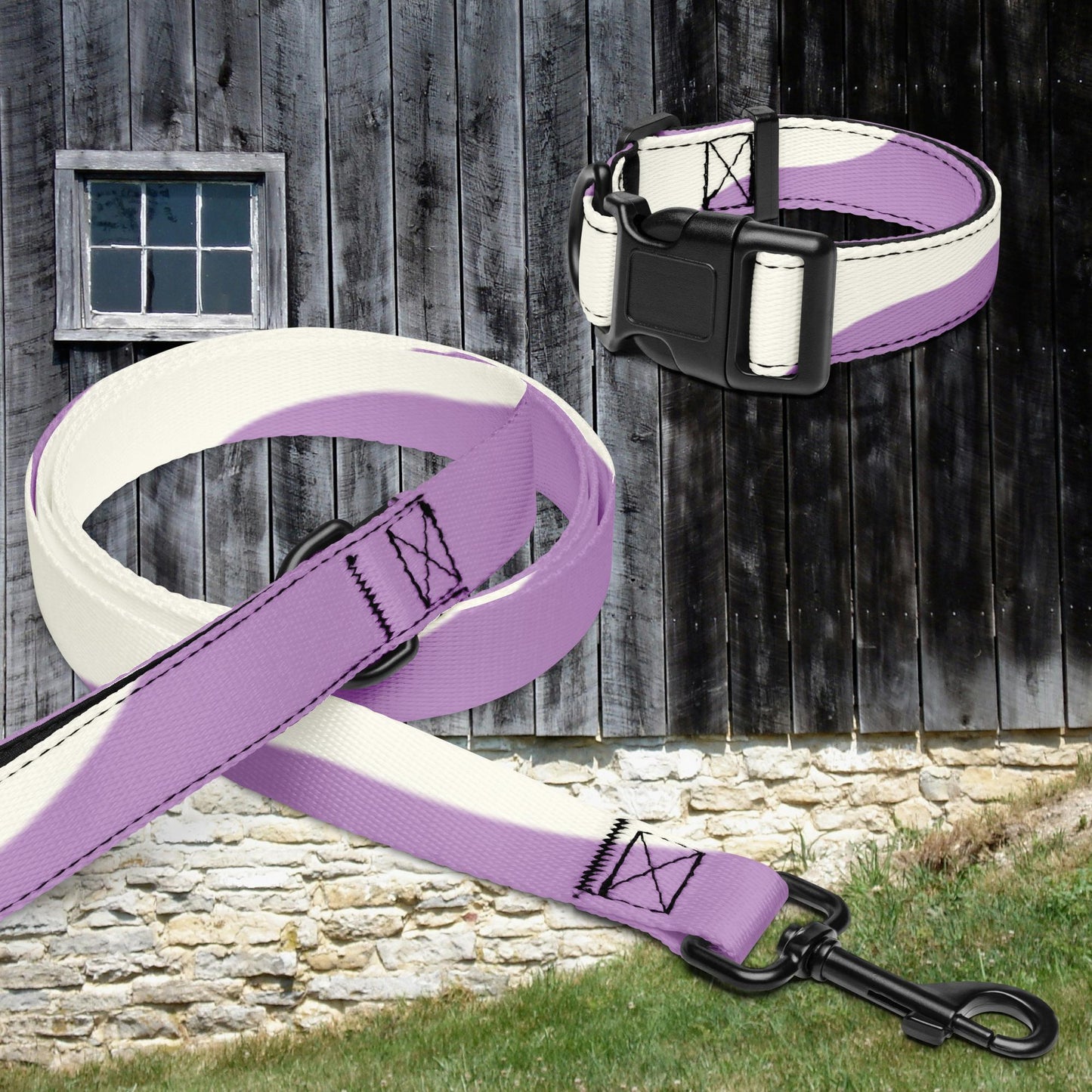 Pet collar & leash