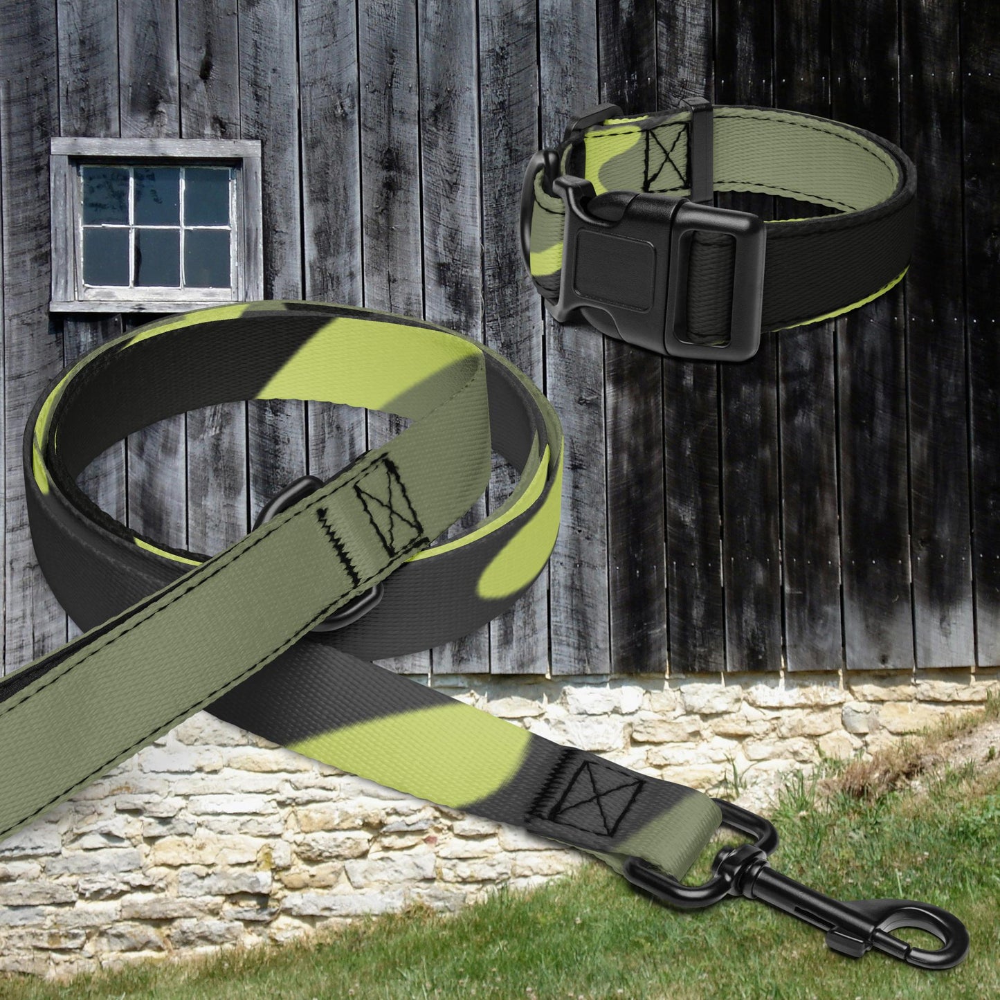 Pet collar & leash